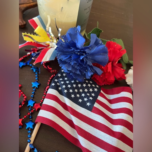 PATRIOTIC DECOR - Picture 6 of 8